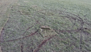 council condemns vandalism around newly opened skate park