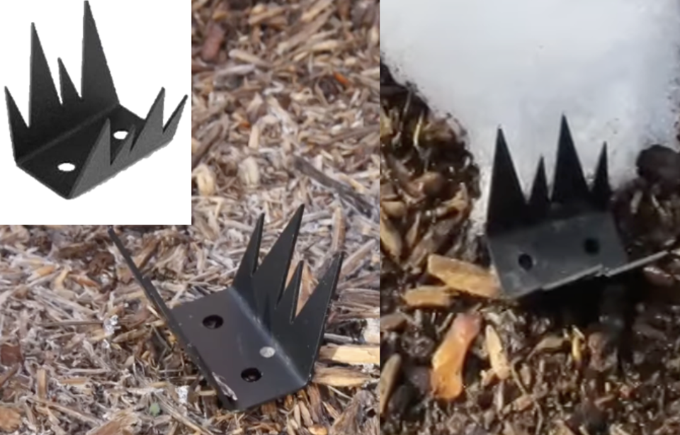 police investigate 40 fence spikes and sharps found ‘deliberately positioned upright’ in parks