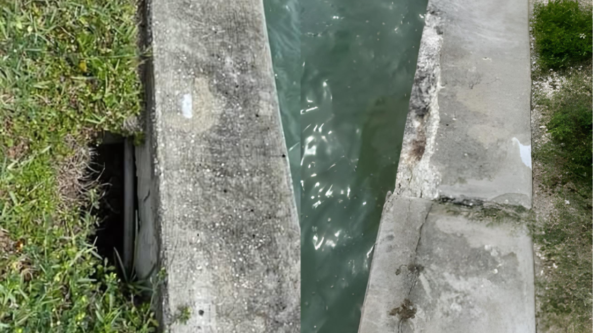 Deteriorating Seawalls-and Sinkholes in Rosselli Park