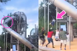 A viral showing a young boy climbing the outside of the FDR Park playground slide structure before falling to the ground. 